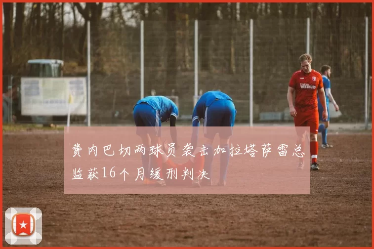 费内巴切两球员袭击加拉塔萨雷总监获16个月缓刑判决